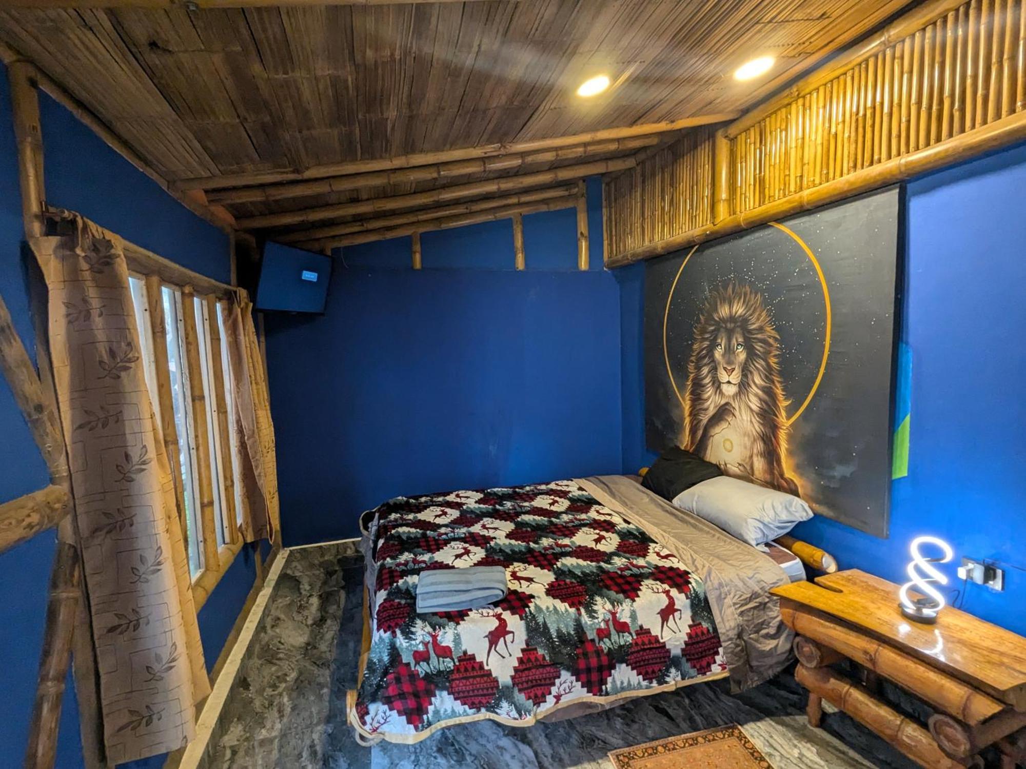 Qinti Quetzal Boutique Guest House Y Elixir Bar San Agustín 外观 照片